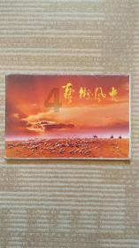 烟管裤搭配什么鞋子好看